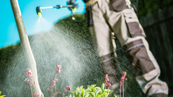 Udržte svoju záhradu v bezpečí - zatočte s burinou a škodcami