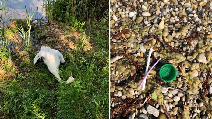 Volebná miestnosť v Košiciach.