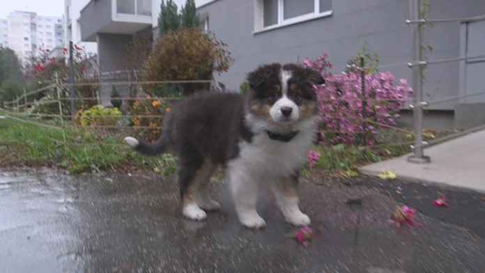 Ilustračná snímka.