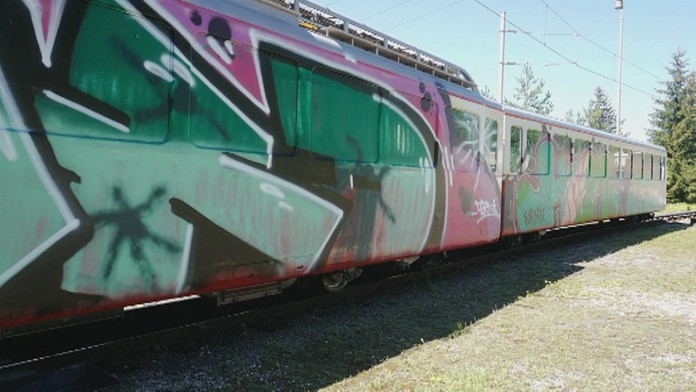 Zubačku sprejeri nešetrili. 