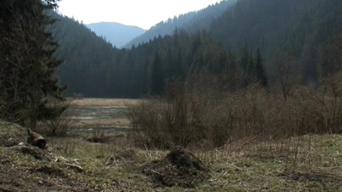 19 RK Zabia symfonia.transferweb_jpg_bez_watermarku_1.jpg