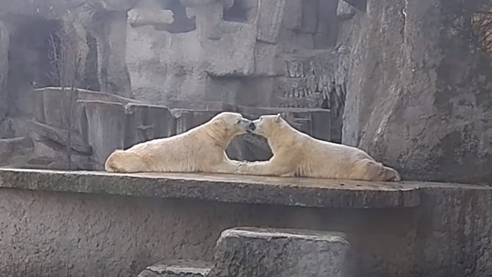 Takto to vyzerá vo vnútri bytovky v Bratislave, kde vybuchol požiar.