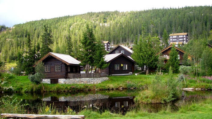Muž bodol nožom staršieho pána v chatke na Spiši. Ten najprv polícii tvrdil, že spadol zo stromu