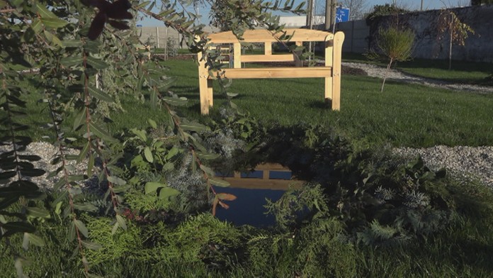 Prírodný cintorín v Nových Zámkoch.