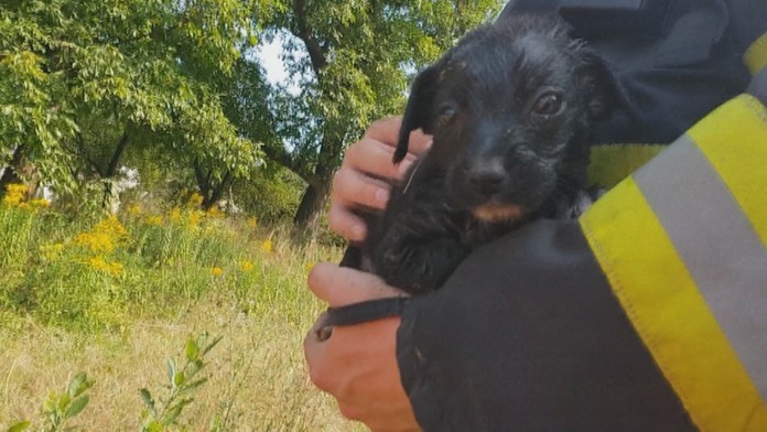 Šteniatko sa hasičom podarilo zachrániť