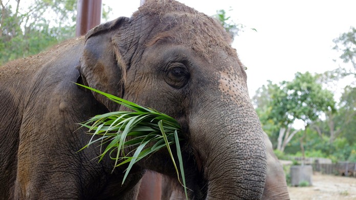 Ilustračná snímka.