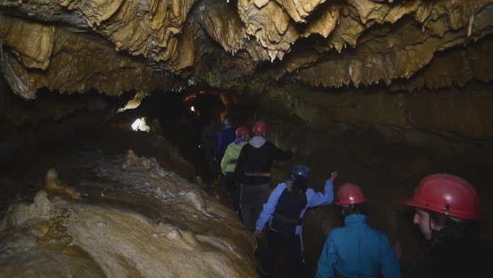 Jaskyňa mŕtvych netopierov.