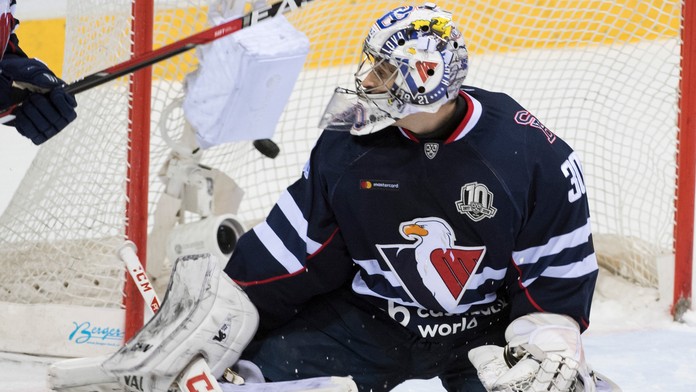 Rastú aj na Vianoce