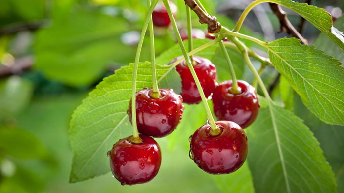 Ilustračná snímka.