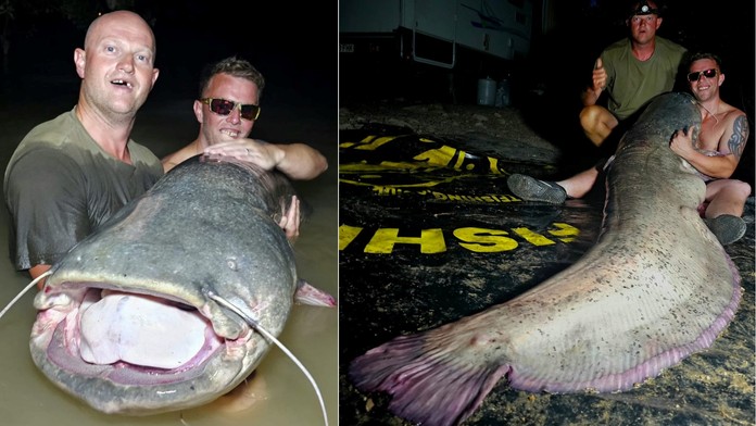 Na dovolenku v Španielsku nikdy nezabudnú. Britskí rybári chytili v rieke Segre obrovského sumca