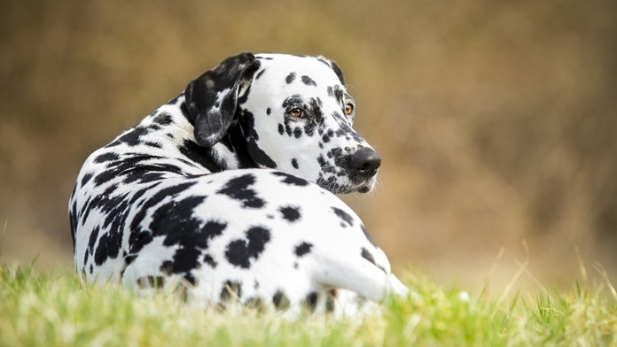 Ľubica Janíková a Zuzana Javorová.