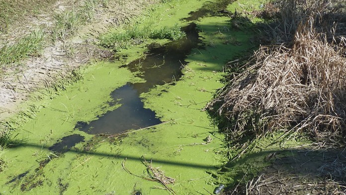 Znížená hladina rieky na Malej Nitre v Šurany.