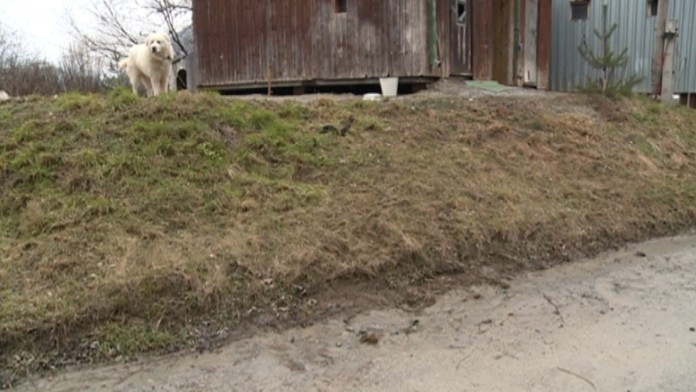 zahadna smrt fotoweb_jpg_bez_watermarku_1.jpg