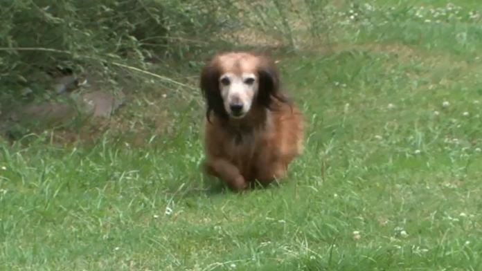 Ilustračná snímka