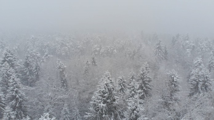 Aj Česko zasiahla snehová chumelica. Sprevádzal ju tam málo častý jav