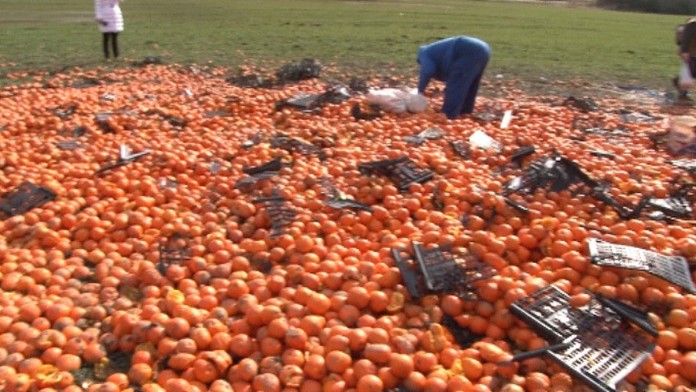 Vysypané pomaranče.