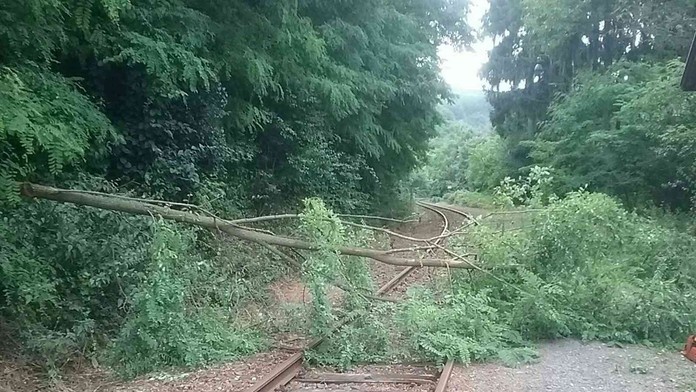 0508_Dr__Ken_Fix_T32_P30_Pon_pia_dopoludnia__12.mp4