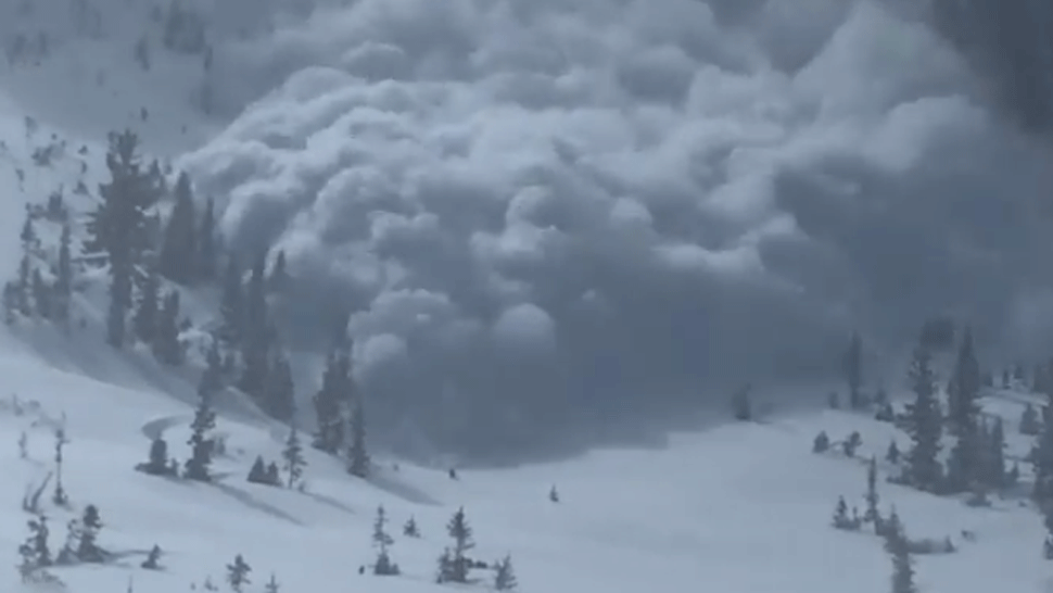 Medzi dvojičkami je trojtýždňový rozdiel. Britka deti počala v rôznom čas.