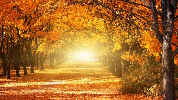 Čakajú nás príjemné teploty 