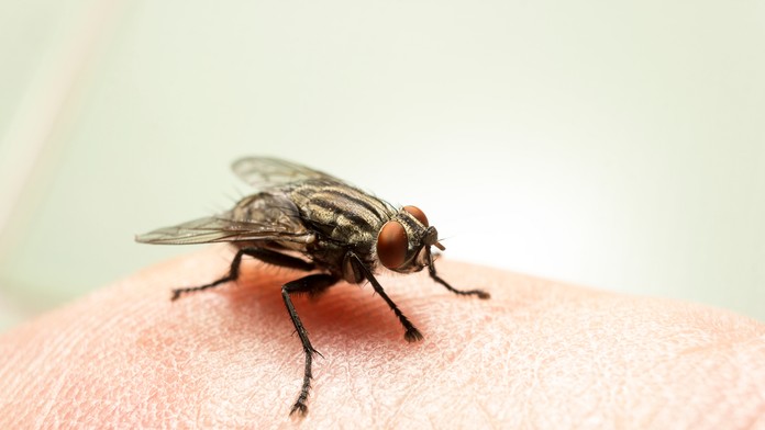 V obci Čavoj sa zosunula časť cesty.