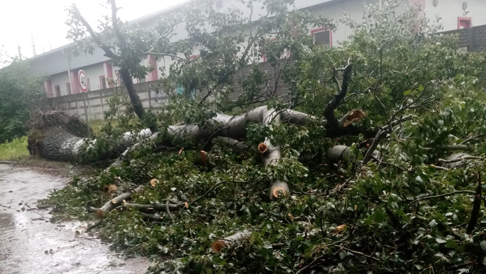 Vyvrátený strom vo Vrakuni