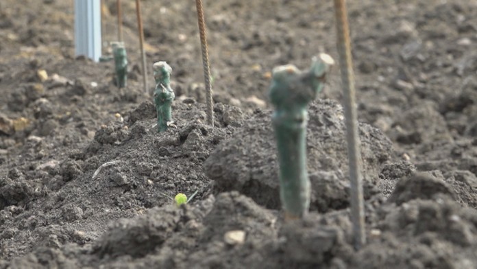 Ilustračná snímka.