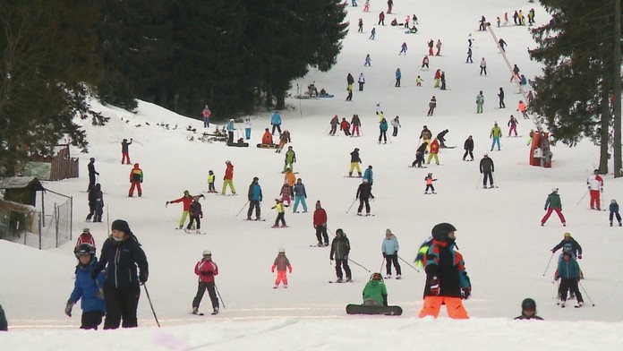 Polícia musela zastreliť dvoch útočiacich psov