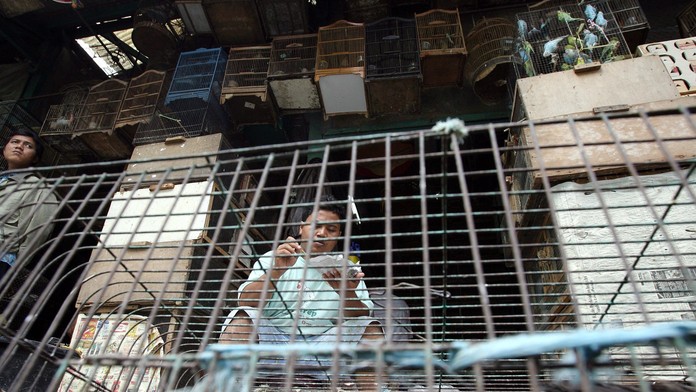 Ešte väčšia pohroma ako covid-19. Indickí vedci predpovedajú, ako by mohla vypuknúť ďalšia pandémia