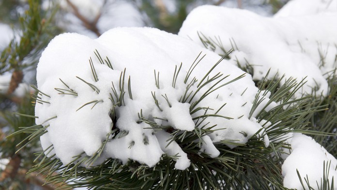 Ilustračná snímka