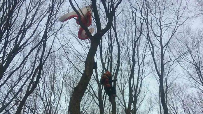 Paraglajdista na strome.