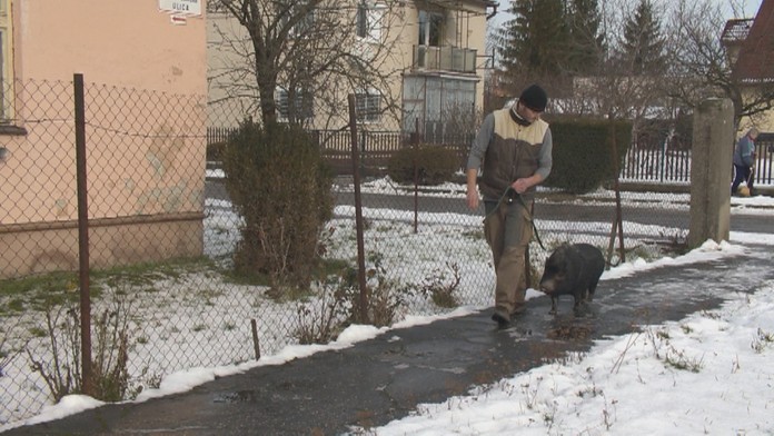 Keď majú v Poľsku problém, pomôže legendárny „maľuch“