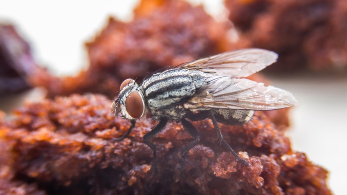 Ilustračná snímka