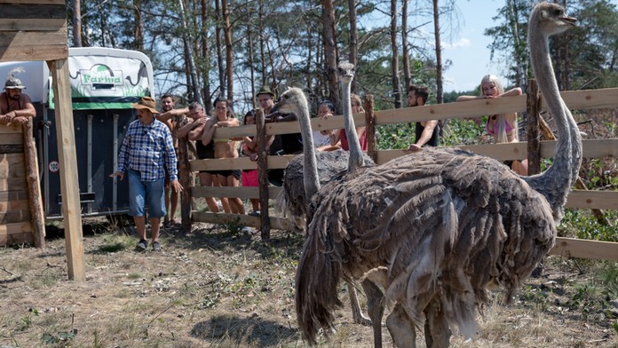 farma zvierata prekvapenie.mp4