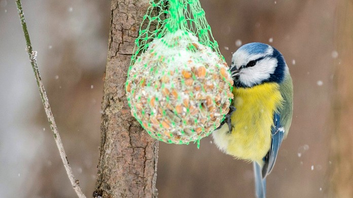 Ilustračná snímka.