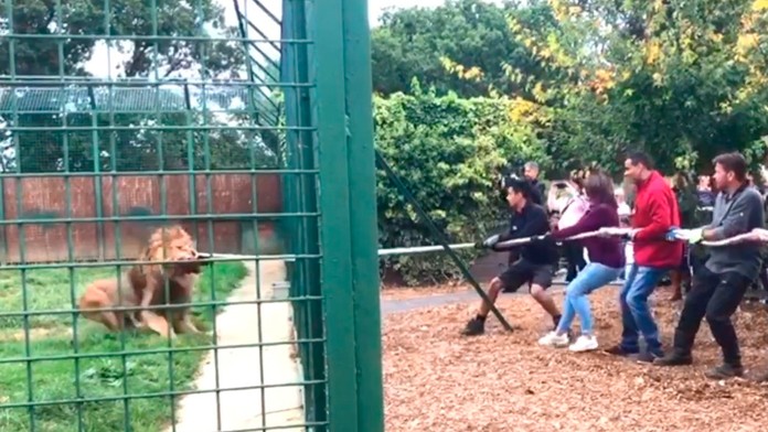 Maroš Šefčovič a Zuzana Čaputová.