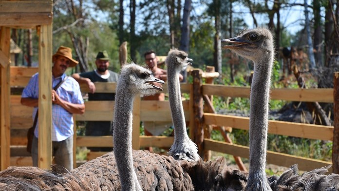 Hospodár Martin pri tohtotýždňovej kontrole úloh