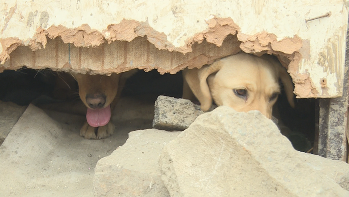 Ilustračná snímka.