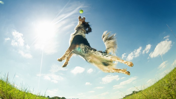 Ilustračná snímka.