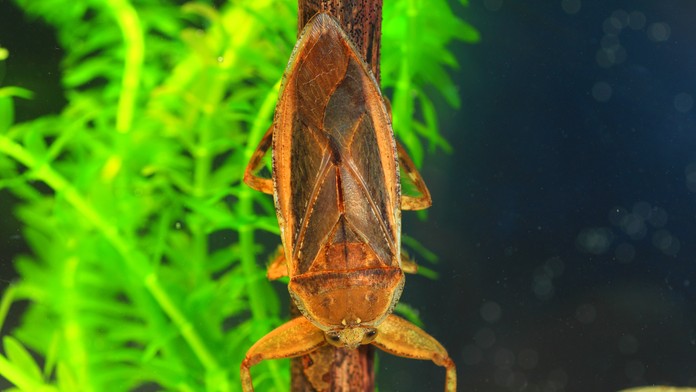 Ilustračný záber.