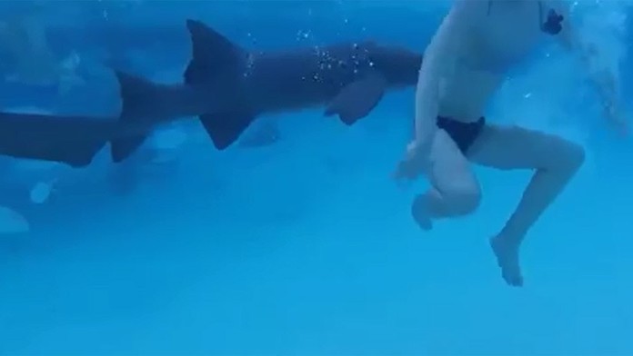 1312_Reflex_13_12_P20_dnes_17_25.mp4