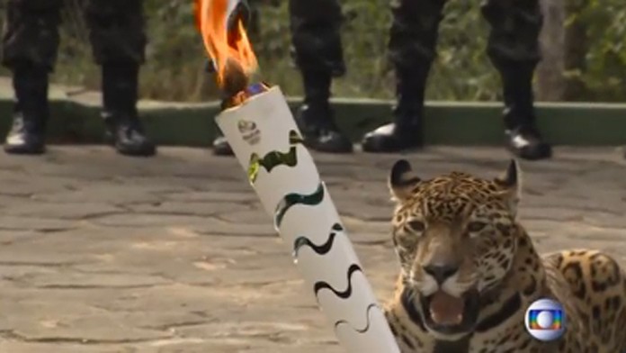Po slávnosti olympijskej pochodne zastrelili maskota - jaguára.