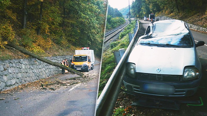 Na ženu spadol počas jazdy strom.
