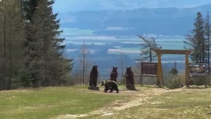 Uzatvoria sa turistické chodníky v Tatrách?