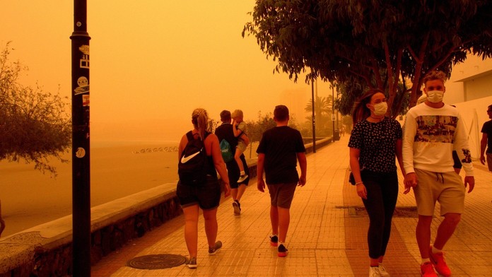 Kalima na Kanárskych ostrovoch. Ilustračná snímka. 