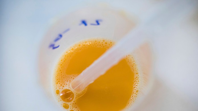 Testovanie rozbitého vajca v laboratóriu na Fipronil.