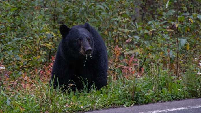 Ilustračná snímka. 