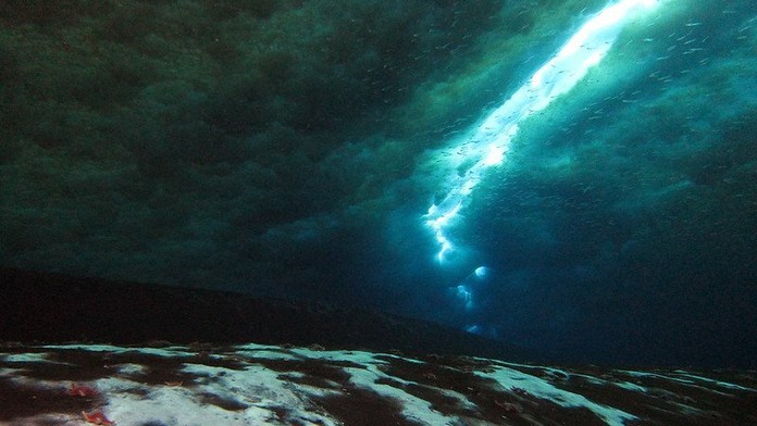 Moderátorku každý pozná ako brunetku