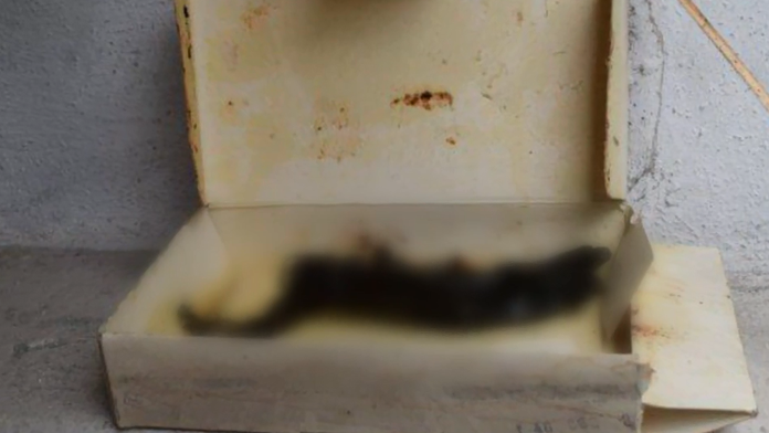 Odtrhnutá ľudská ruka