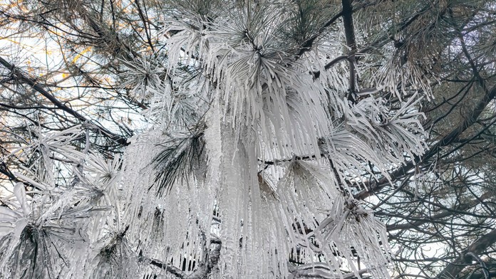 Čaká nás nezvyčajne tuhá zima? Počasie na severnej pologuli dramaticky ovplyvní anomália
