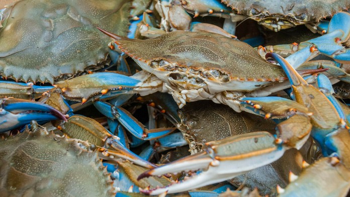 Ilustračná snímka.